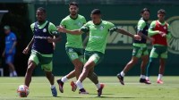 SuperOdd no Paulistão: Palmeiras vence e Estevão marca