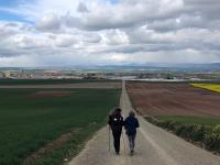 ‘Buen Camino’: histórias dos Caminhos de Santiago