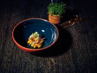 Restaurantes veganos e vegetarianos contemplados com estrelas Michelin