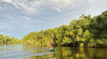 Quase na divisa com o Pará, no norte do estado de Mato Grosso, uma Amazônia pouco conhecida abriga o Cristalino Lodge, um hotel de selva que mexe com os sentidos sensoriais e com nossa conscientização ambiental: o que podemos fazer por nossa floresta?