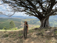 O delicioso mundo dos azeites e queijos da Serra da Mantiqueira