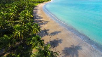 Capital do Alagoas reserva praias espetaculares, um passado bem preservado e piscinas naturais paradisíacas. Confira!