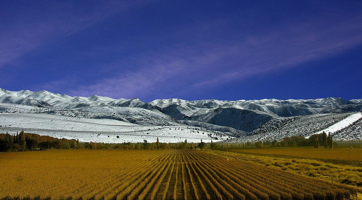 Vinhedos em Mendoza, na Argentina, região de vinícolas no sopé da Cordilheira dos Andes