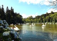 Férias de julho: destinos para curtir as baixas temperaturas com as crianças