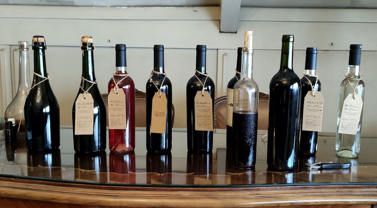 Pequenas notáveis: quatro vinícolas que não chamam atenção pelo tamanho, mas escondem preciosidades em suas garrafas