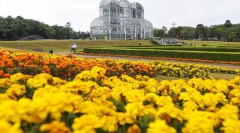 Capital do Paraná e o bioma aparecem junto de localidades ao redor do mundo para novas descobertas, segundo a Lonely Planet e a National Geographic 