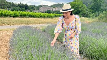 Uma das regiões mais charmosas do país, a Provence encanta com seus campos de lavanda, mas vai além com cidadelas medievais e passeios gastronômicos e culturais