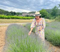 França: 5 cidades imperdíveis na região da Provence