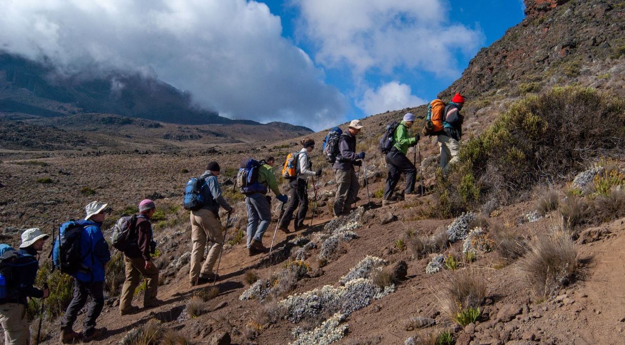 Milhares de aventureiros escalam o Kilimanjaro todos os anos, com muitos tentando chegar ao cume