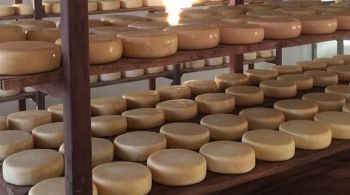Ranking do Taste Atlas aponta o queijo Canastra e o queijo Coalho entre os mais apreciados; Itália sai em primeiro lugar com Parmigiano Reggiano