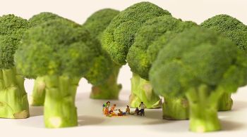 Japan House São Paulo traz a inédita “Japão em miniaturas - Tatsuya Tanaka”, que fica em cartaz até 8 de outubro 