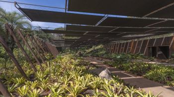 Espaço de 1,4 mil m² tem jardim planejado com quatro mil bromélias e abriga duas obras imersivas da artista