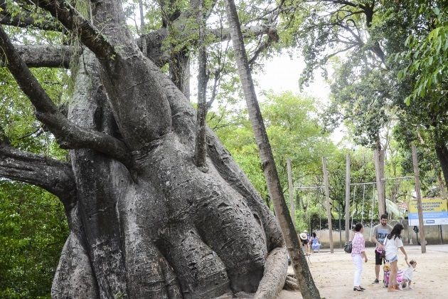 Onde passear em recife? 