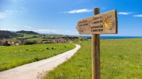 Lições aprendidas ao percorrer o Caminho de Santiago na Espanha e Portugal