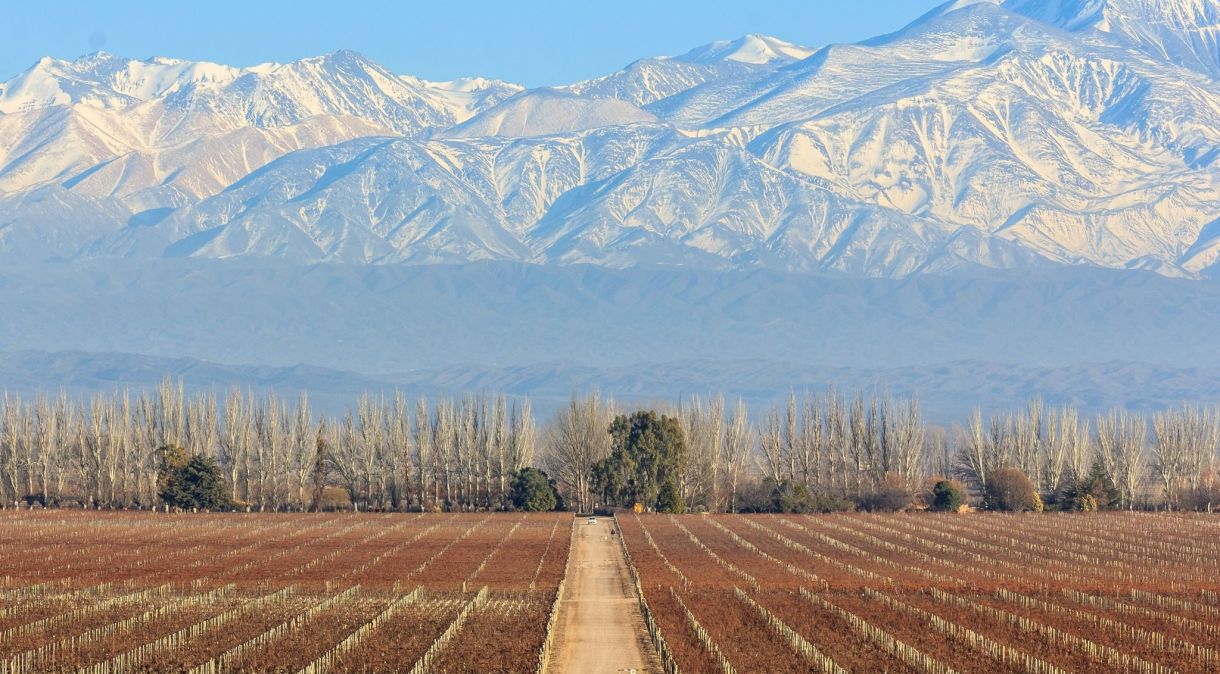 Área de plantação da Catena Zapata, eleita a melhor vinícola do mundo pela World Best Vineyards em 2023