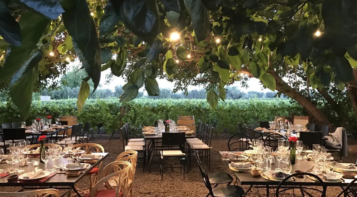 Restaurante Fogón está localizado dentro da Bodega Lagarde e oferece opções de menus em etapas harmonizados com os melhores vinhos do local