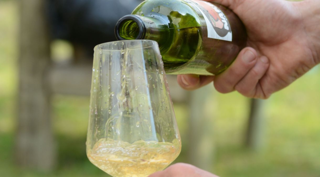 Bodega Colorado Chico produz vinhos próprios e para outros projetos do Uruguai