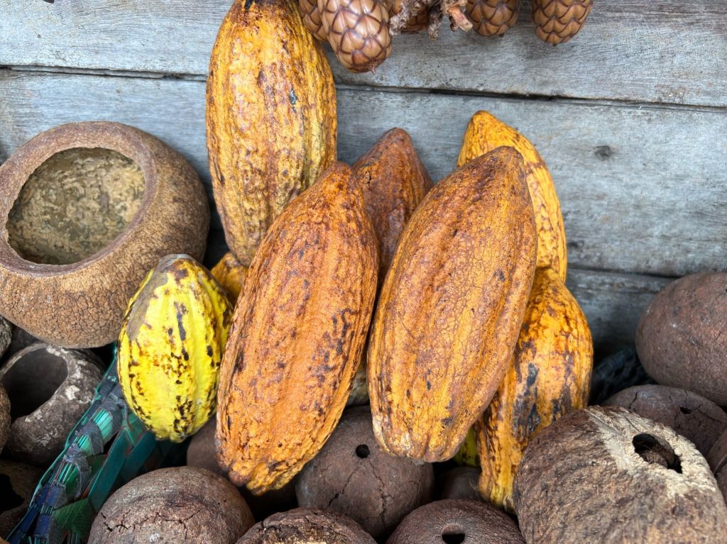 Frutos encontrados no Mercado Ver-O-Peso