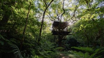 Com ideais sustentáveis, o resort já foi reconhecido pelo Guinness World Records por ter a casa na árvore mais baixa do mundo