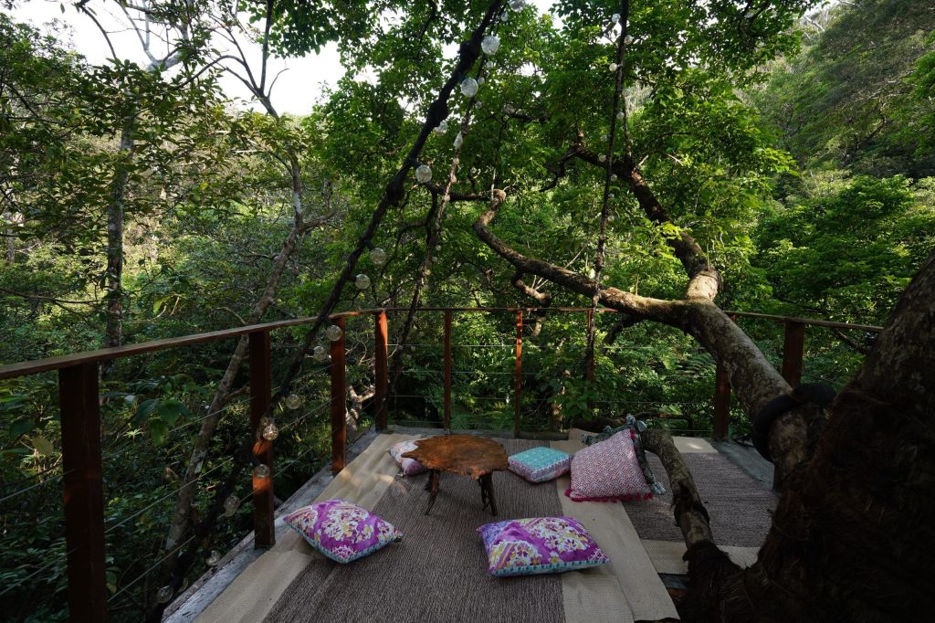 Imagens da Spiral Treehouse, habitação da Treeful