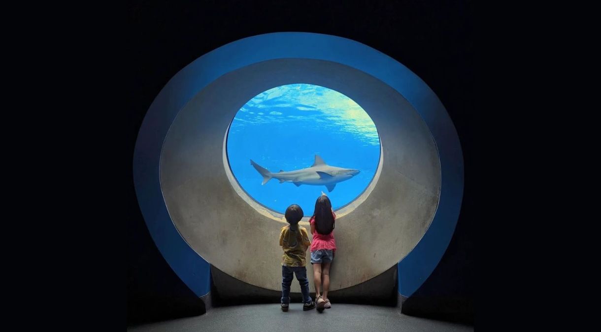O aquário do Phillip and Patricia Frost Museum of Science deixa as kids fascinadas