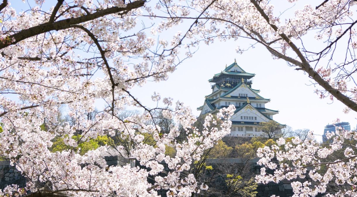 Castelo de Osaka remonta ao século 16 e é bastante procurado durante florada das cerejeiras; local é fundamental na narrativa de "Xógum"