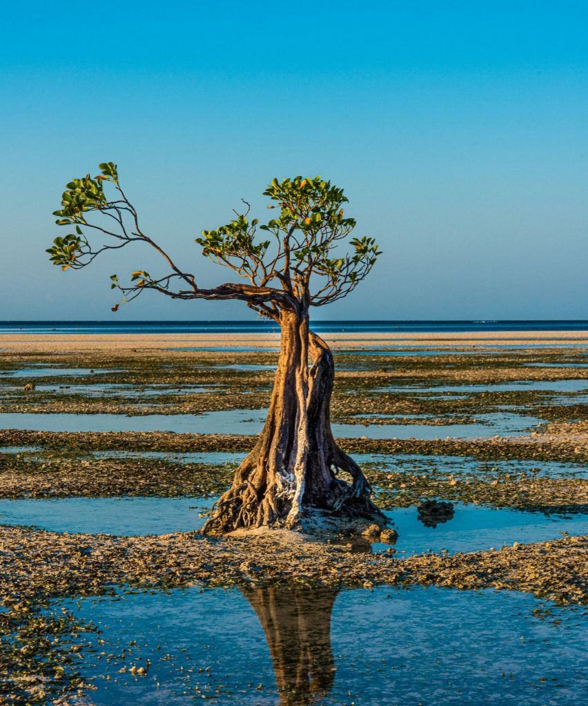 Praia walakiri e regência do Sumba oriental, Indonesia