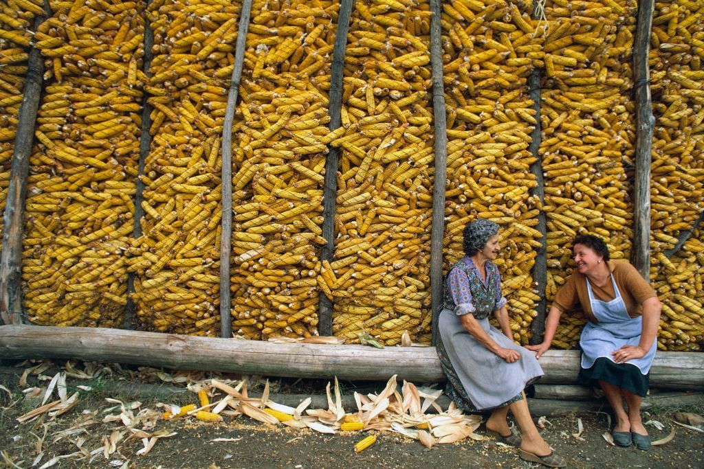 Mulheres descansam depois de colher e armazenar milho no Piemonte, Itália. DEA/G. P. Cavallero/Getty Images