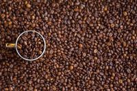 Todos os mitos que o café abraça: verdades e mentiras