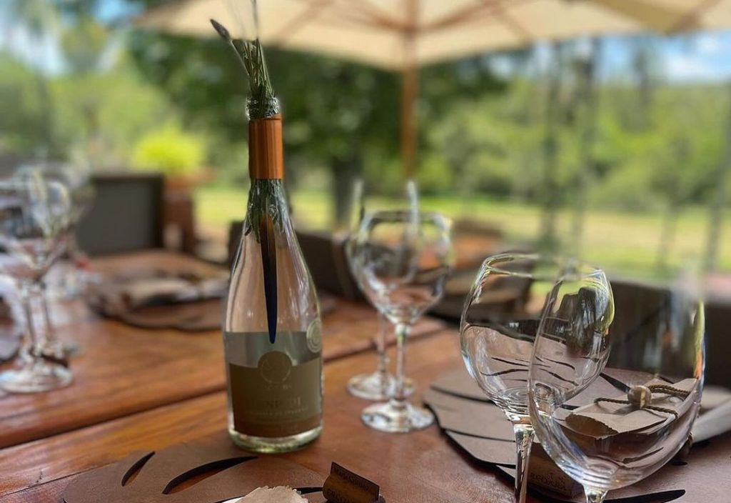 Experiência enogastronômica na Fazenda Ercoara conta com menu harmonizado com os vinhos especiais de colheita de inverno, monitoria para crianças e visita aos vinhedos.