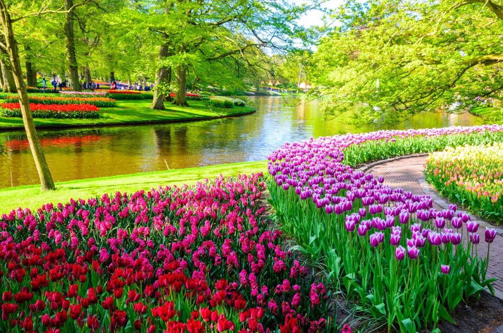 Parque Keukenhof