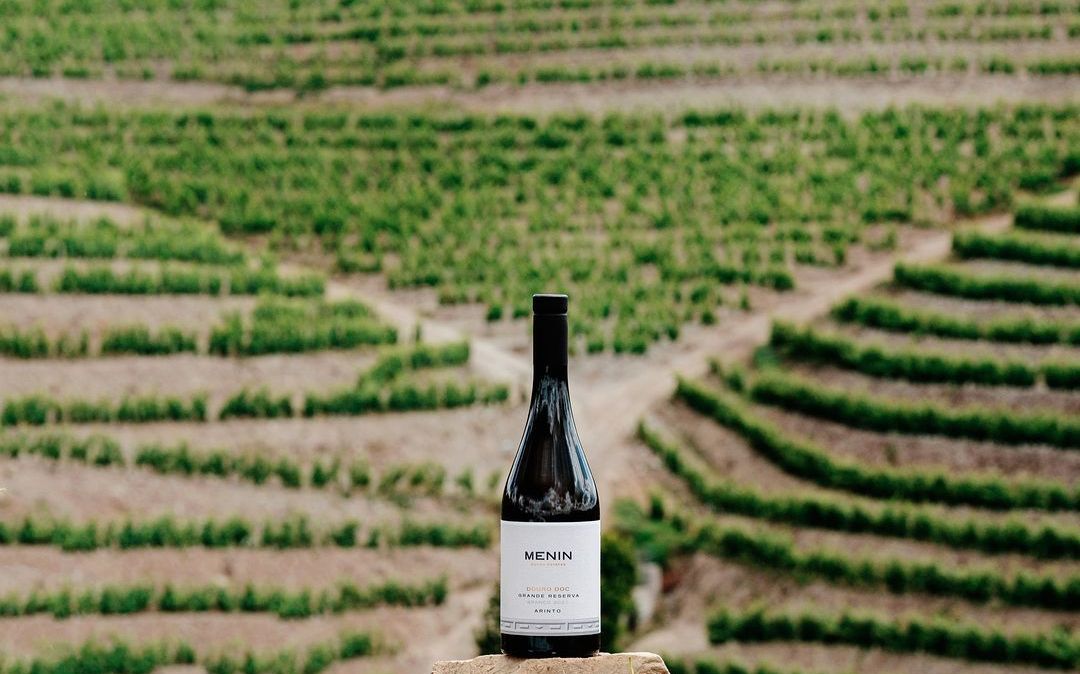 Menin Wine Company é dona de vinícolas no Douro, como a Menin Douro Estates e a H.O