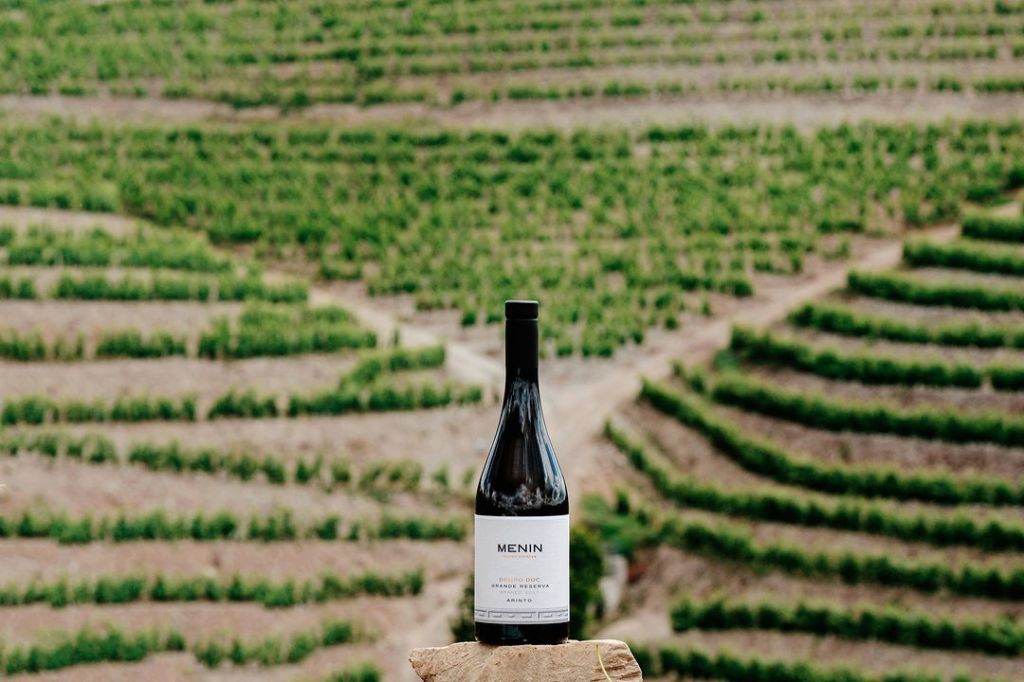 Menin Wine Company é dona de vinícolas no Douro, como a Menin Douro Estates e a H.O