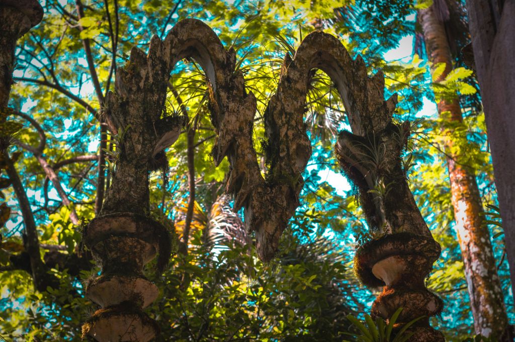 Las Pozas é um jardim surrealista escondido na selva na cidade de Xilitla.