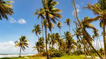 Descubra as praias deslumbrantes e pouco conhecidas de Trinidad, um destino caribenho cheio de surpresas 