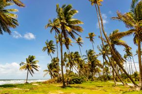 Descubra as praias deslumbrantes e pouco conhecidas de Trinidad, um destino caribenho cheio de surpresas 