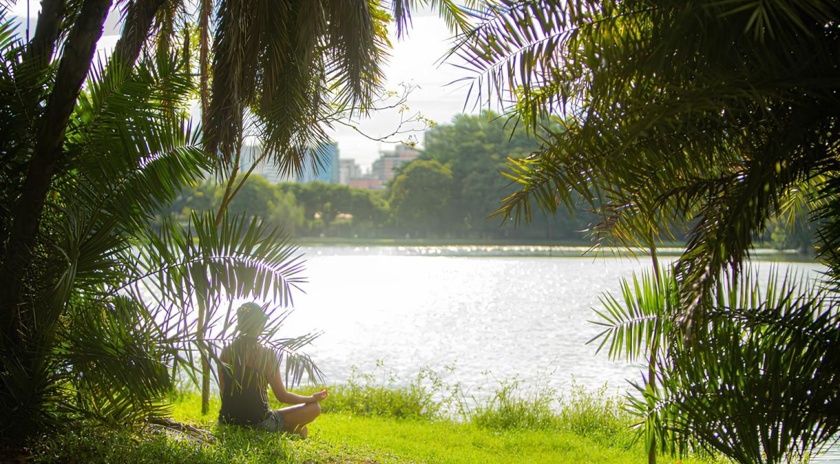 Parque Ibirapuera é um dos locais pet friendly da capital paulista elencados pelo guia