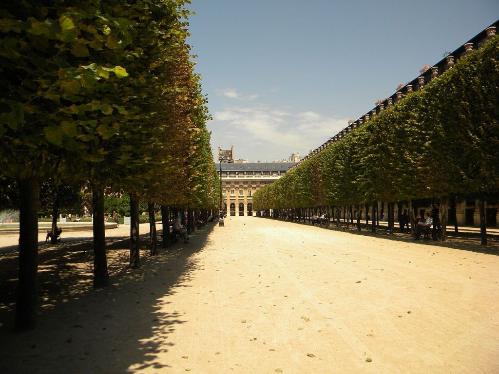 Árvores enfileiradas com Palais Royal, em Paris, ao fundo
