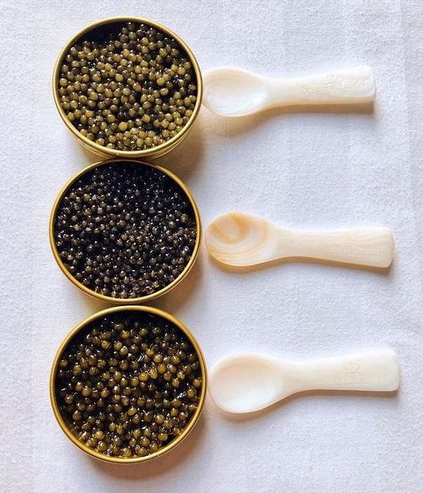 Caviar Strottarga
