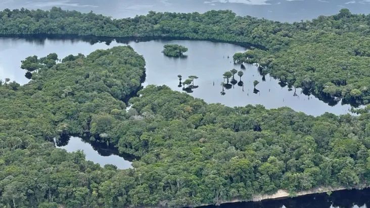 visão aérea do Parque Nacional de Anavilhanas