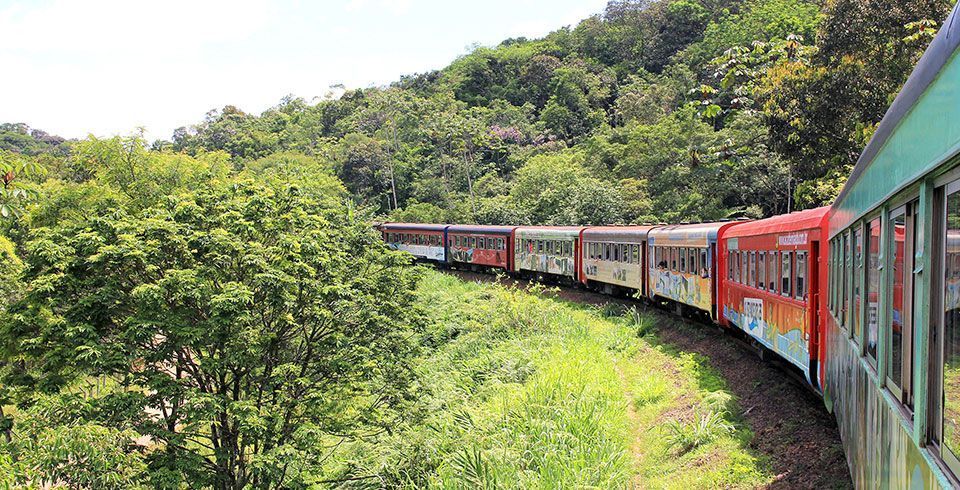 trem no paraná