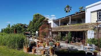 Pequena cidade à beira do Rio da Prata, no Uruguai, ficou conhecida por suas vinícolas, tanto históricas quanto boutiques