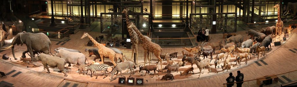 Grande Galeria da Evolução, no Jardin des Plantes, em Paris 