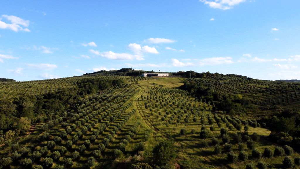 Fazenda Serra dos Tapes, em Canguçu, no Rio Grande do Sul