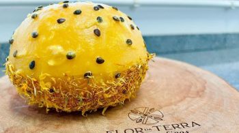 Maturado com infusão de maracujá, queijo Passionata é produzido no Paraná e ficou entre os finalistas do World Cheese Awards 2024, enquanto outros 35 queijos nacionais também conquistaram medalhas