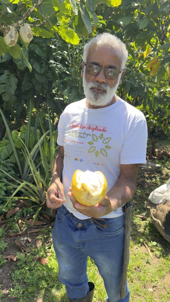 Sr. Osvaldo, produtor de cacau 