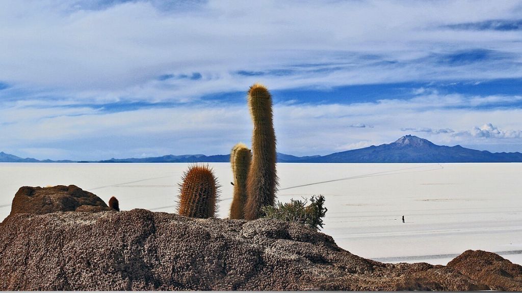 Isla del Pescado, no Salar de Uyuni, na Bolívia