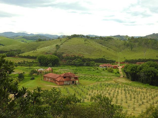 Vale do Vinho