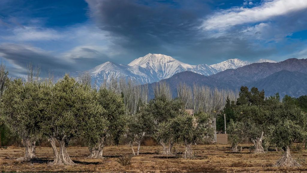 Região de Mendoza, na Argentina, abriga cerca de 1.200 vinícolas, com montanhas dos Andes como pano de fundo