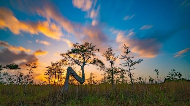 Everglades National Park